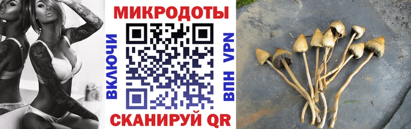 Купить где  Иркутск  Псилоцибиновые грибы GOLDEN TEACHER 